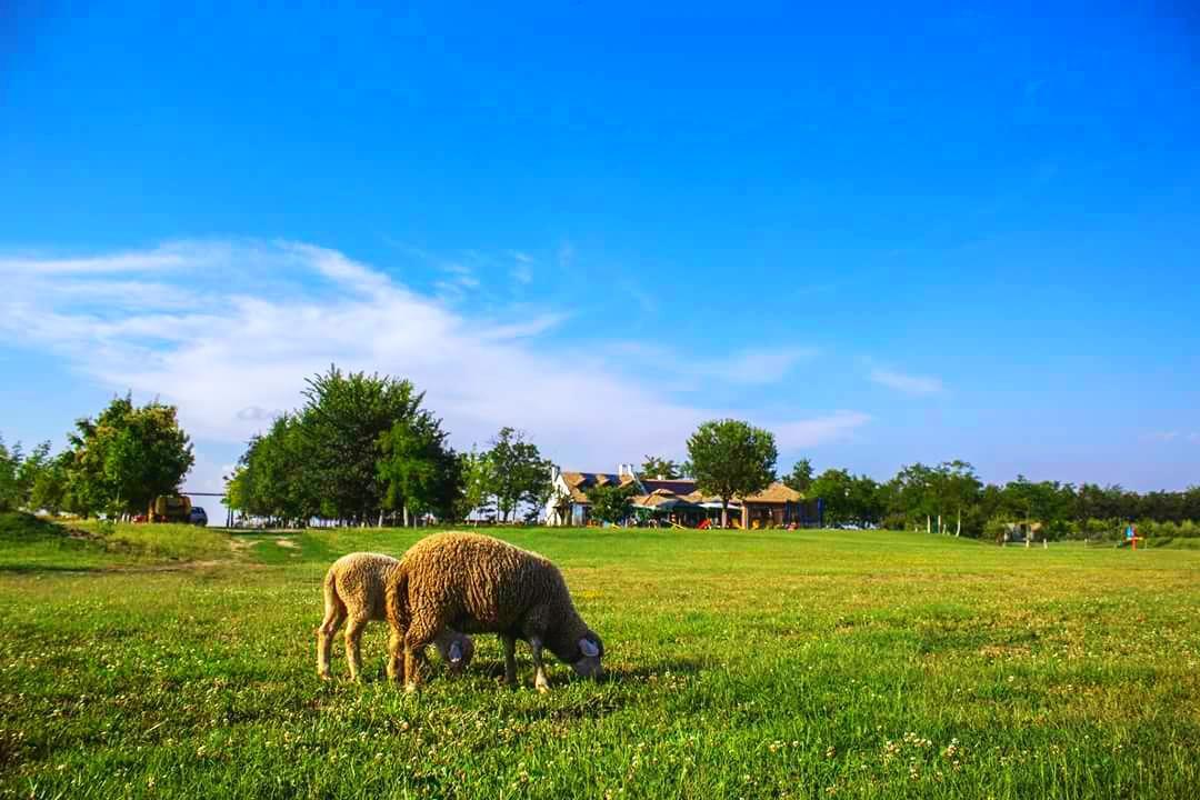 Salas Tatic Hotel Turija Bagian luar foto